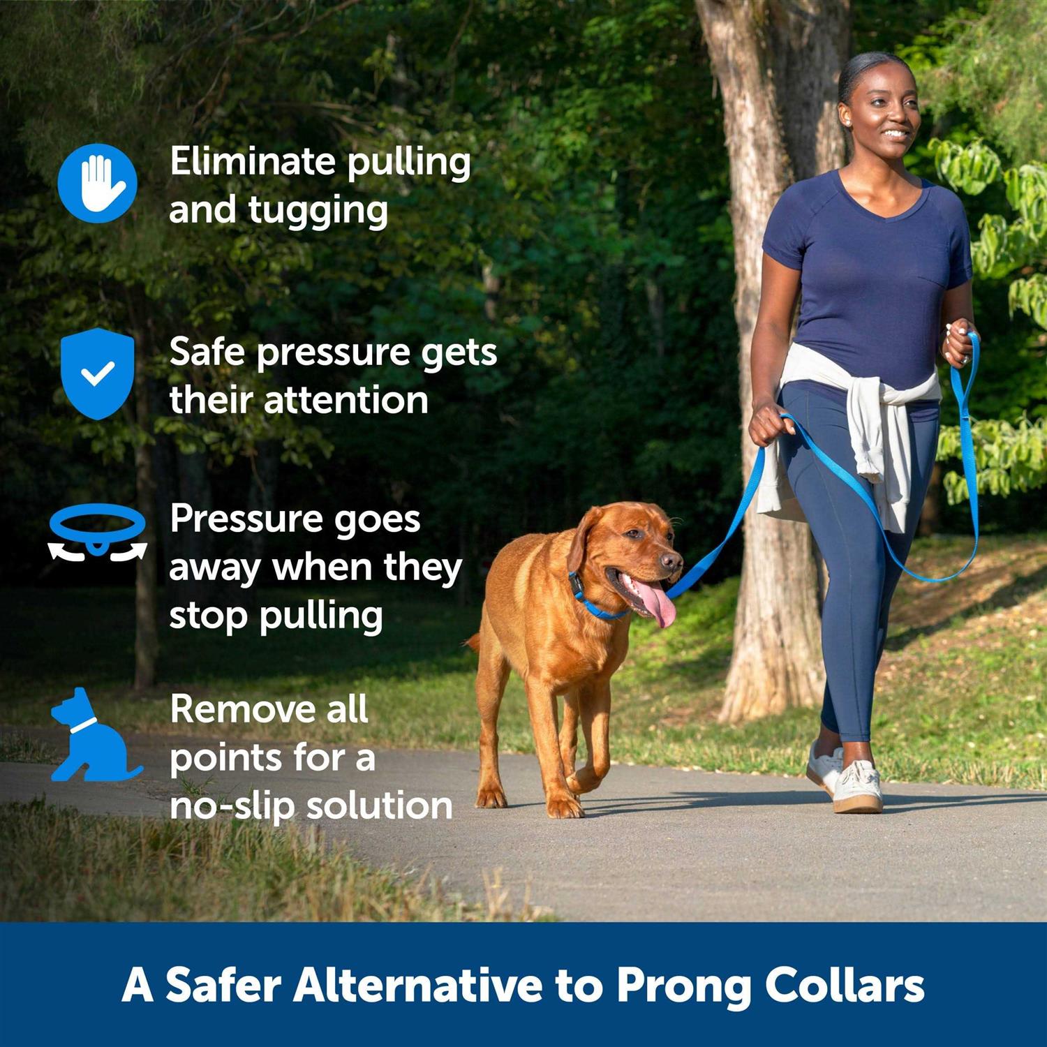 PetSafe Soft Point Training Collar - Healthber
