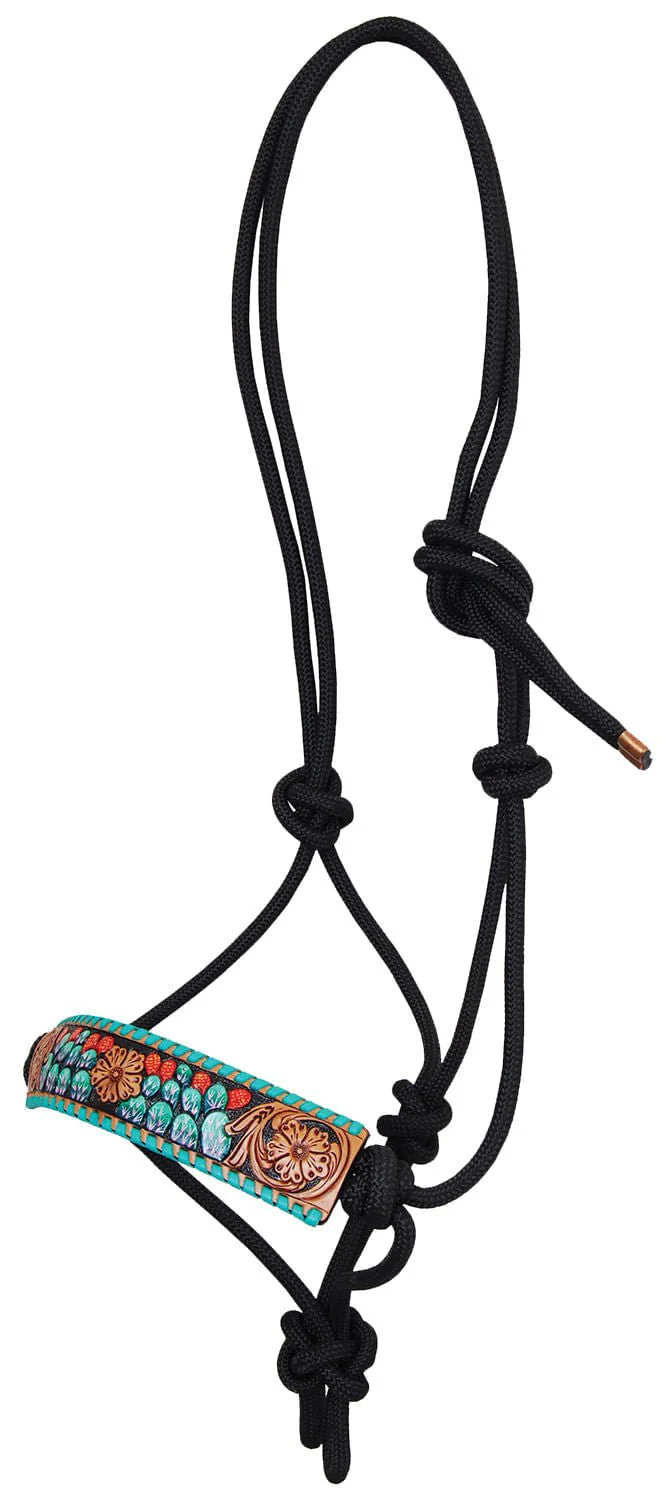Rafter T Painted Rope Halters with Leather Overlay - Healthber