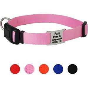 GoTags Adjustable Nameplate Personalized Dog Collar - Healthber
