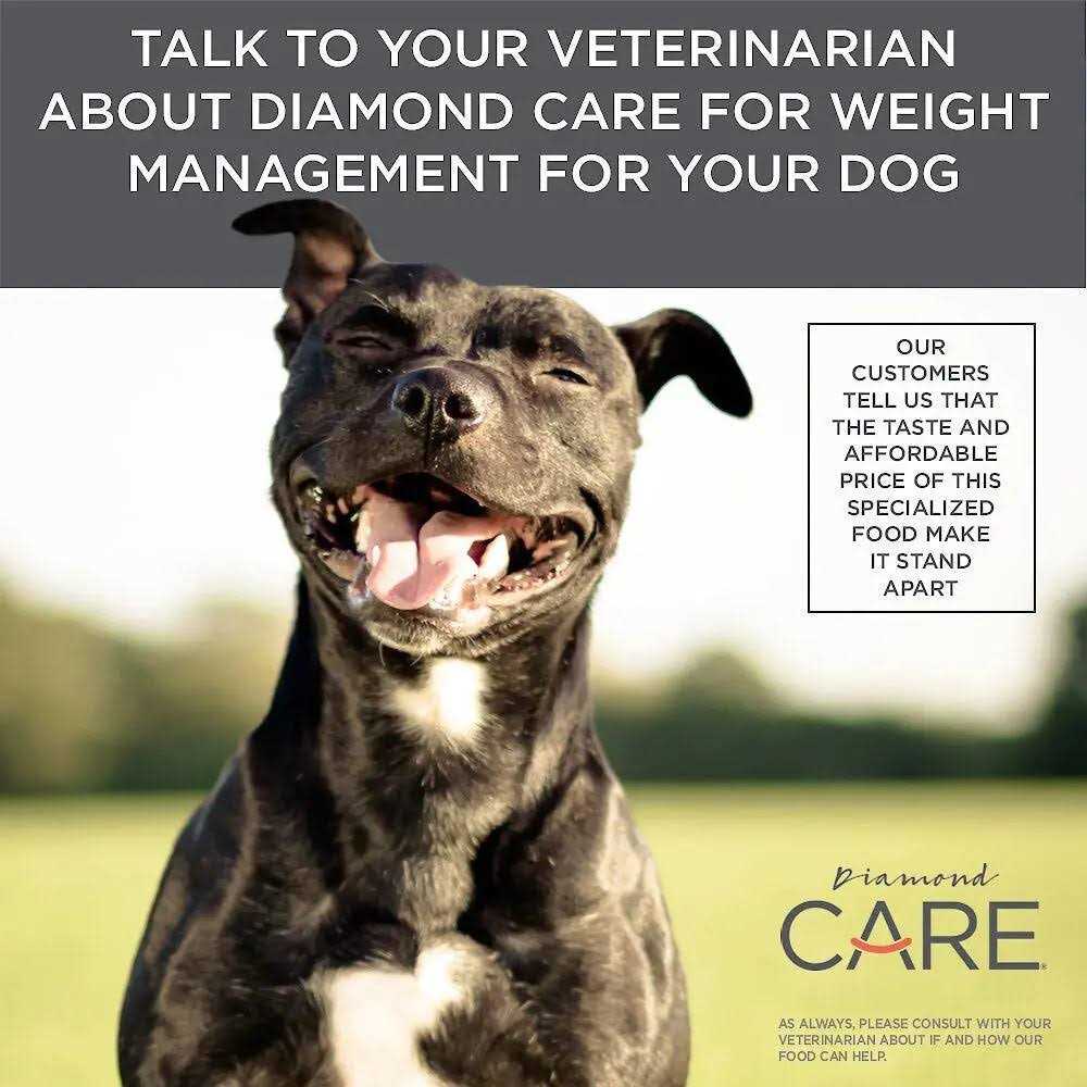 Diamond Care Weight Management Formula Adult Dry Dog Food - Healthber