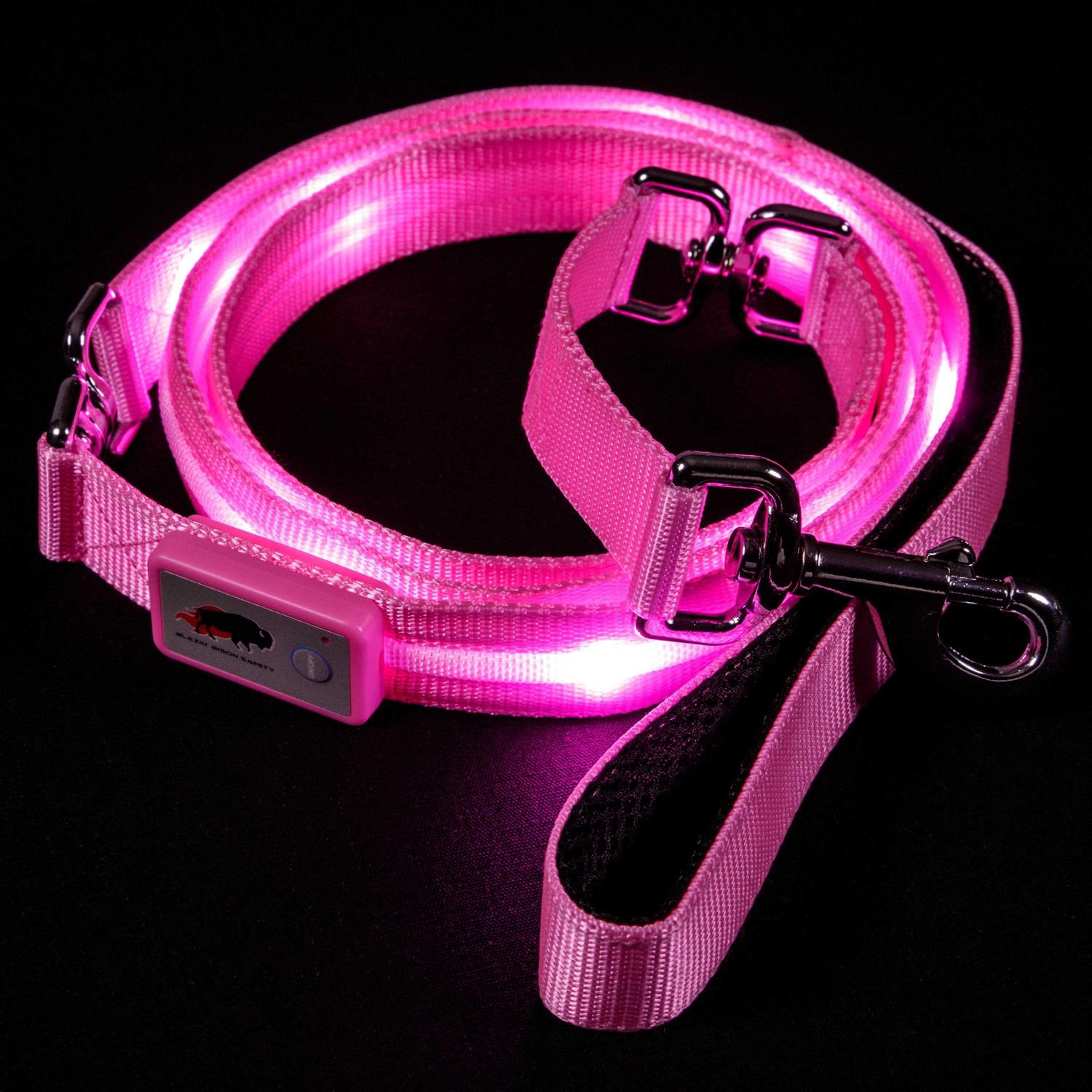 Blazin Safety LED Dog Leash USB Rechargeable Flashing Light - Healthber