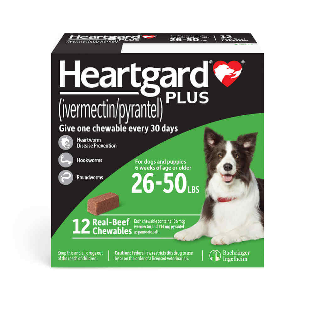 Rx Heartgard Plus for Dogs, 12 Chews - Healthber