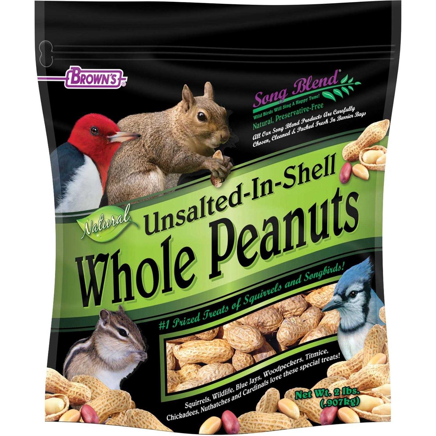 Song Blend Unsalted In-Shell Whole Peanuts Bird Food - Healthber