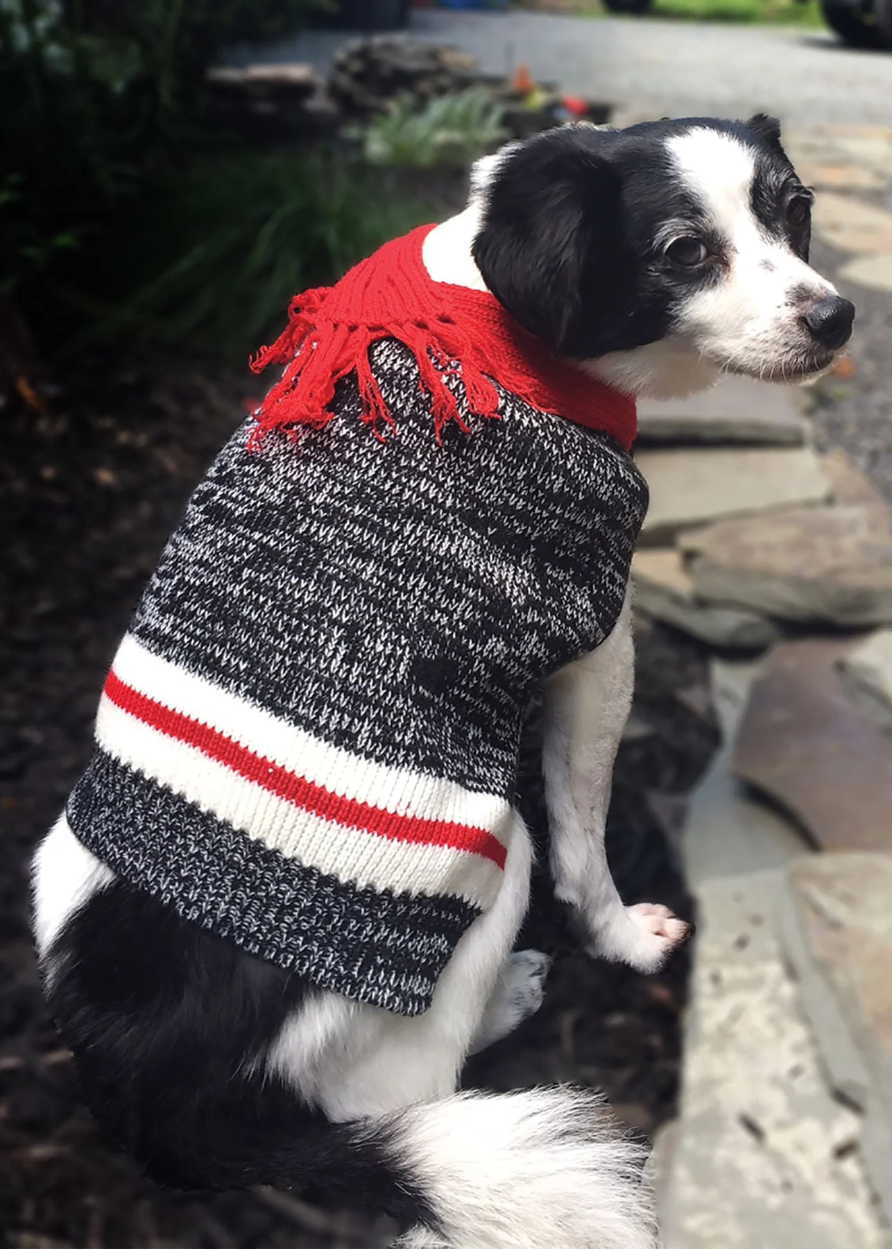 Twisted Yarn Dog Sweater - Healthber