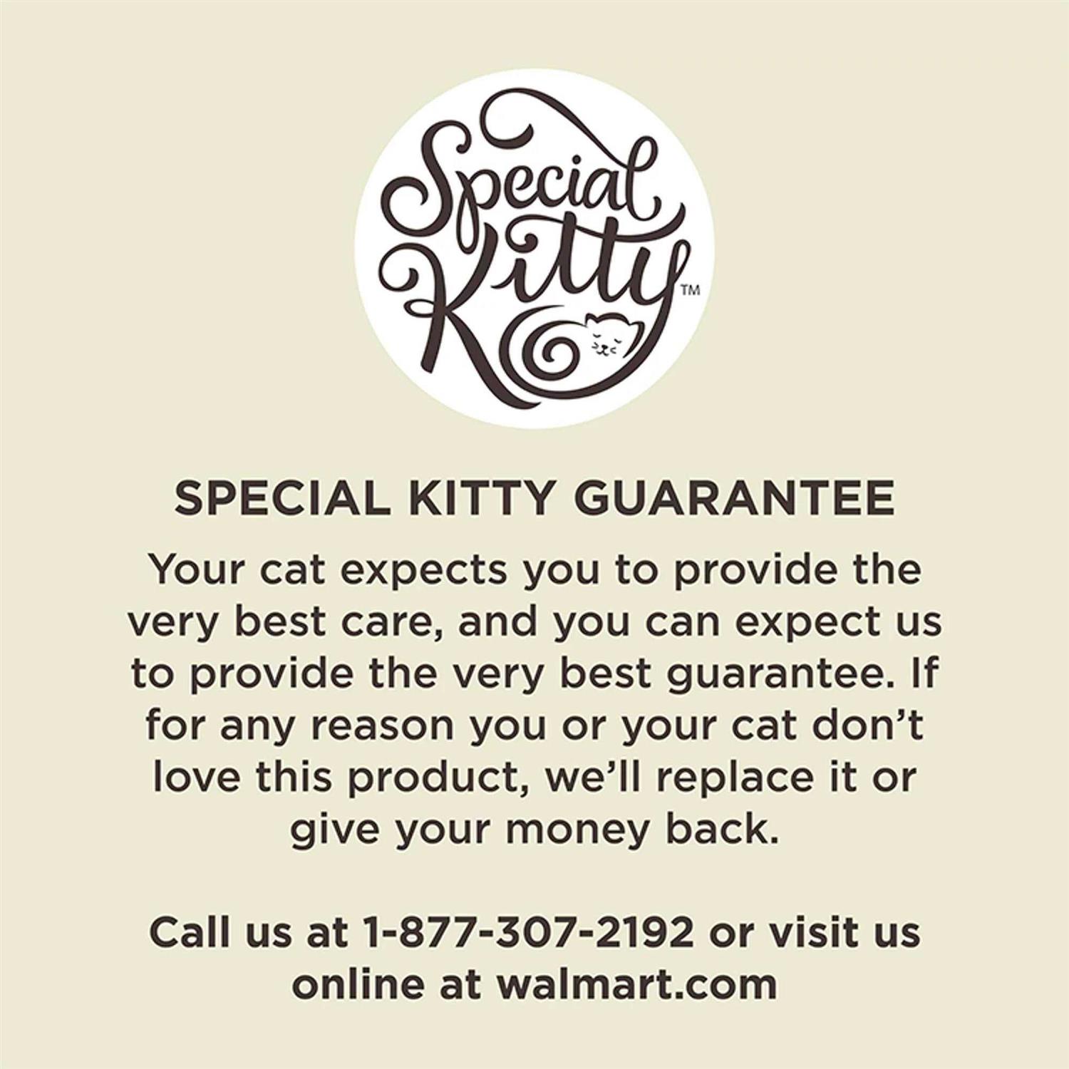 Special Kitty Complete Nutrition Formula Dry Cat Food - Healthber