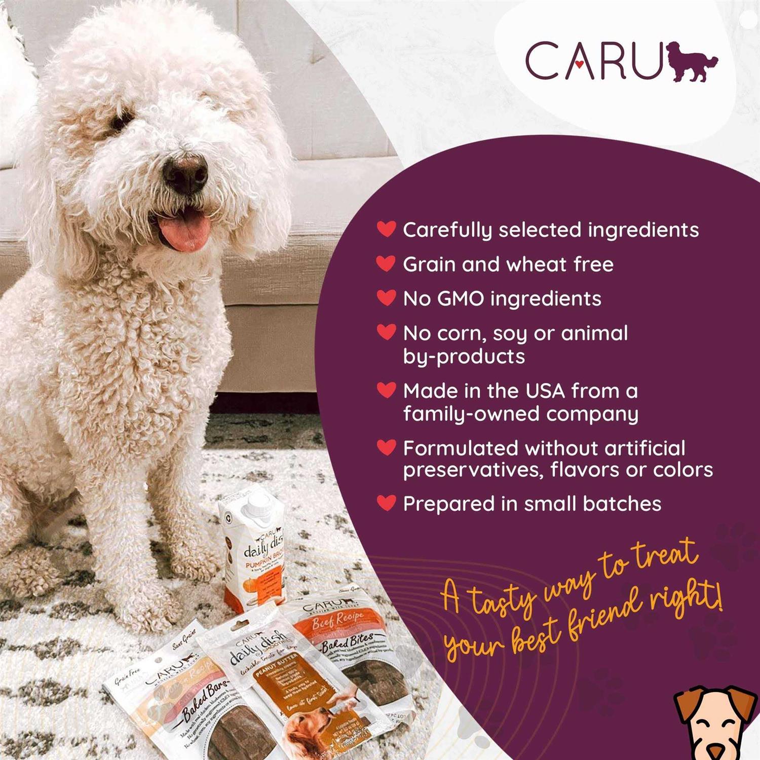 Caru Soft ‘n Tasty Baked Bites Recipe Dog Treats - Healthber