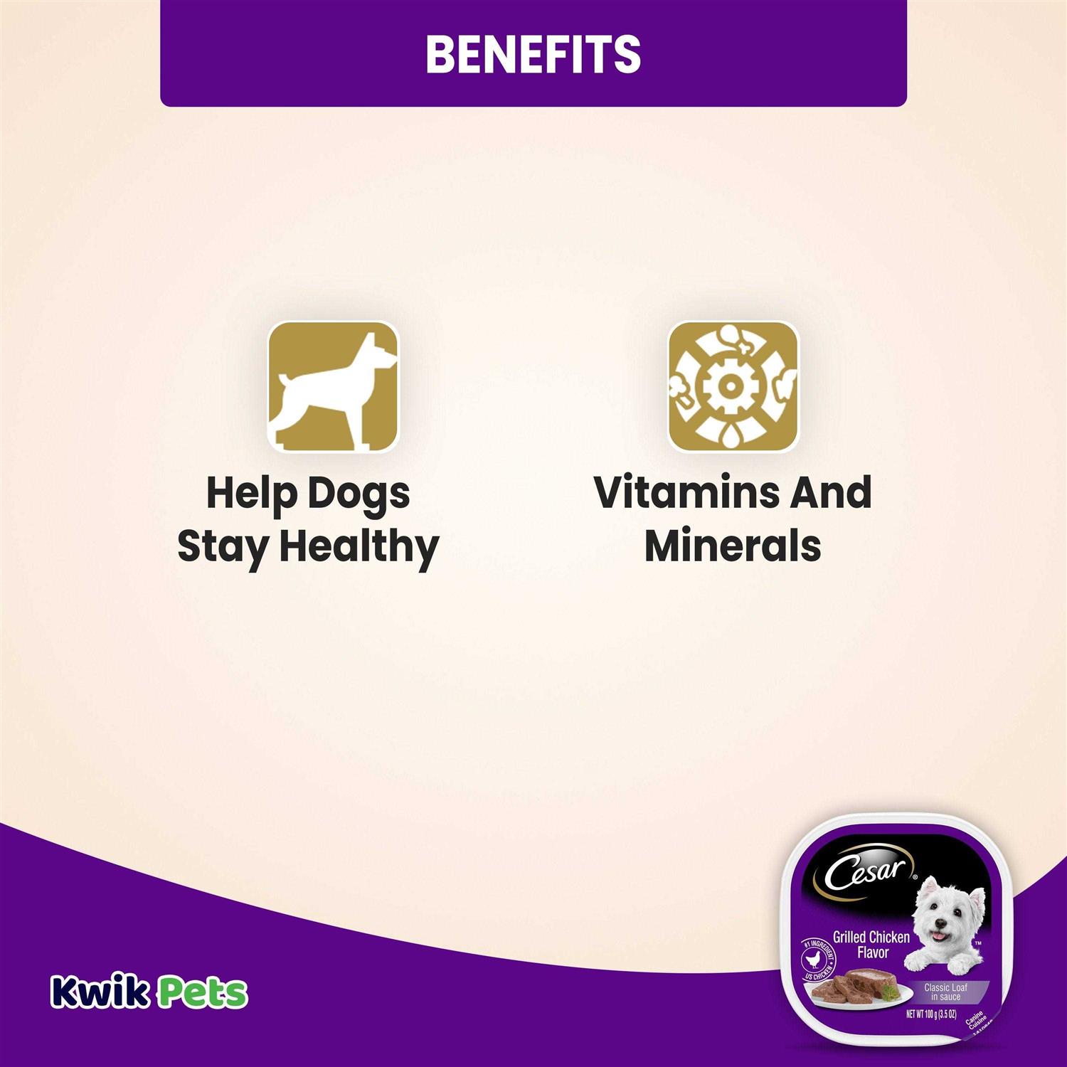 Cesar Grilled Dog Food - Healthber