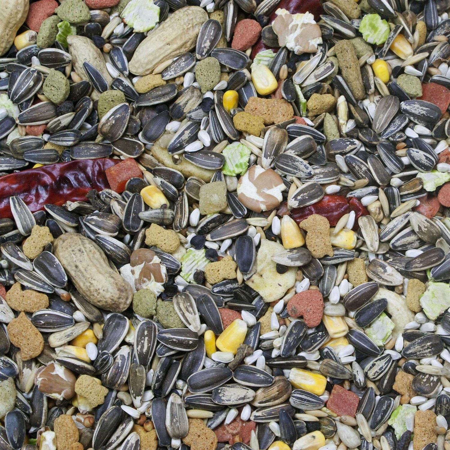 Higgins Vita Seed Parrot Food - Healthber