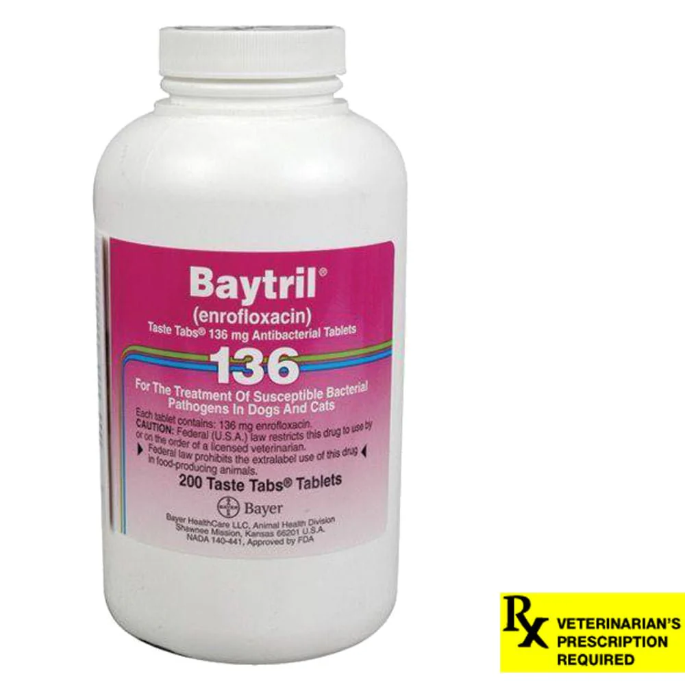 Rx Baytril for Dogs and Cats (Tablets) - Healthber