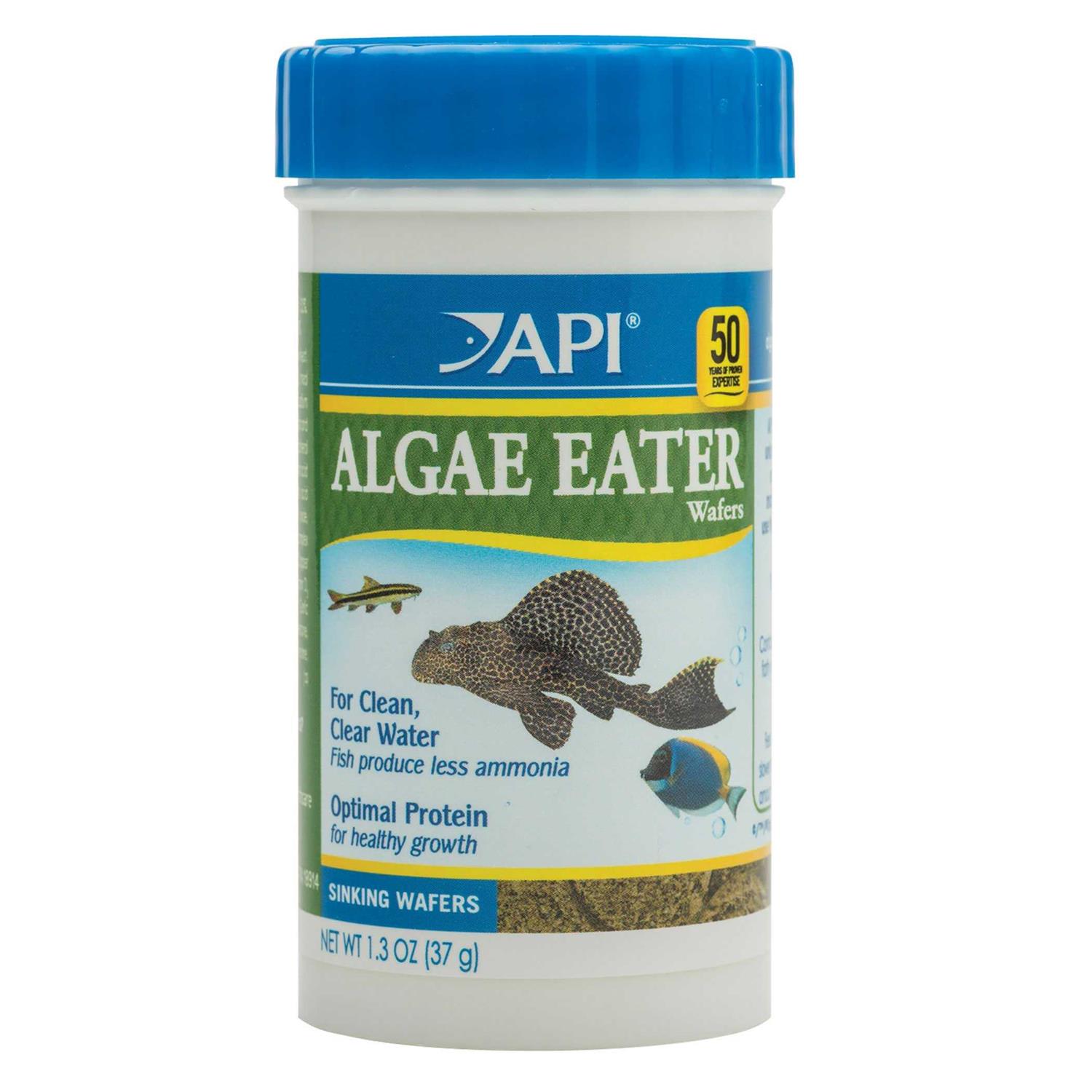 API Algae Eater Algae Wafers - Healthber