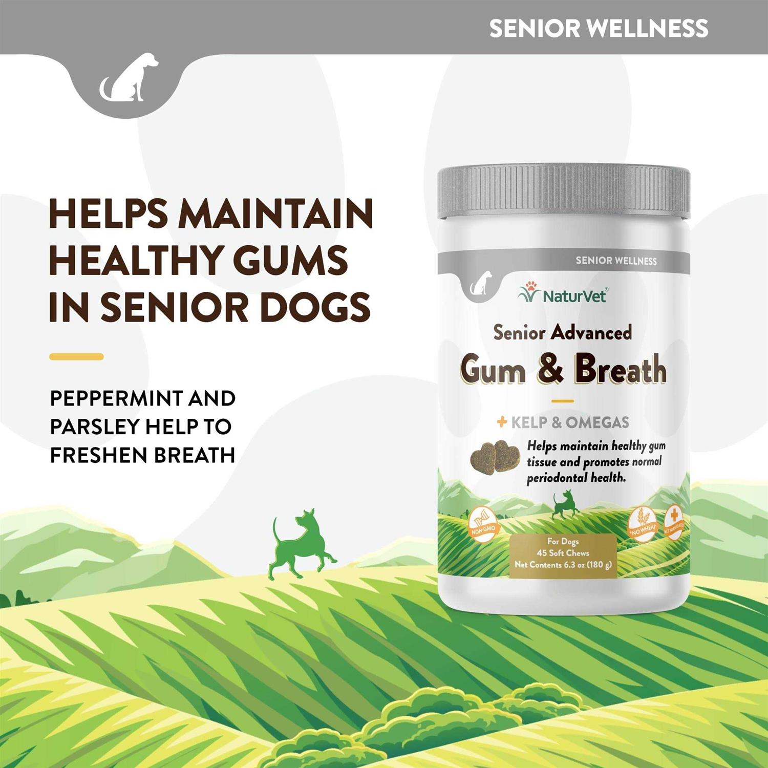 NaturVet Senior Advanced Gum & Breath Soft Dog Chews - Healthber