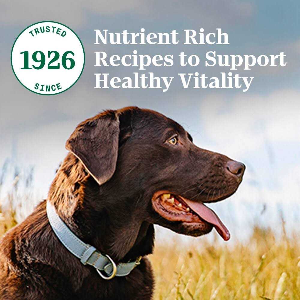 Nutro Natural Choice Adult Beef Rice Dry Dog Food - Healthber