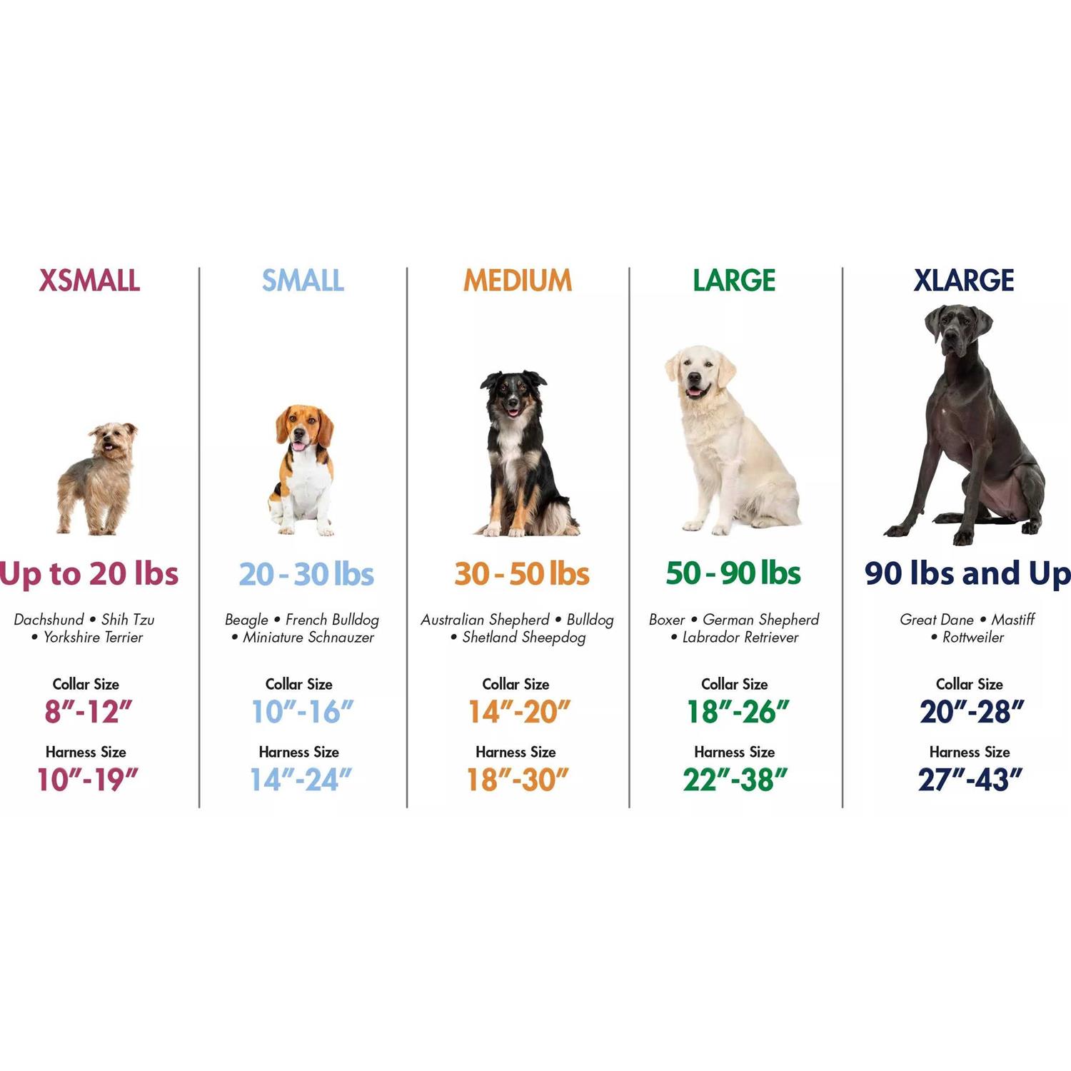 Coastal Pet Macho Dog Double-Ply Nylon Collar with Roller Buckle 1.75 Wide Black - Healthber