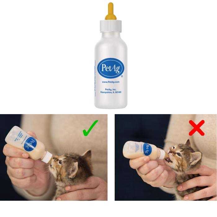PetAg Nurser Bottle - Healthber