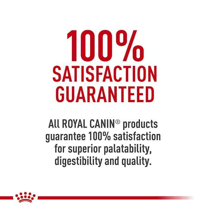 Royal Canin Breed Health Nutrition Labrador Retriever Adult Dry Dog Food - Healthber