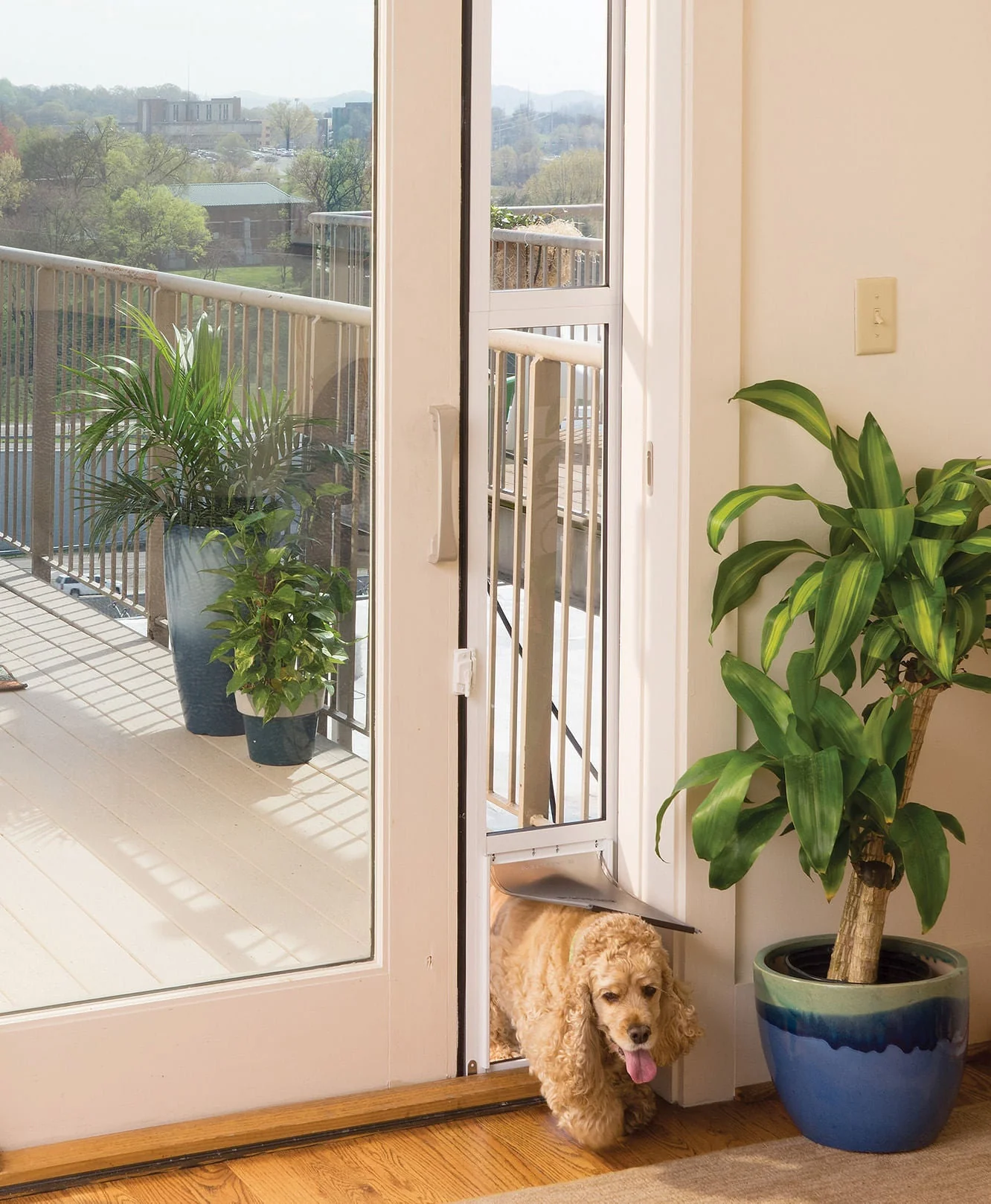 PetSafe Sliding Glass Pet Door - Healthber