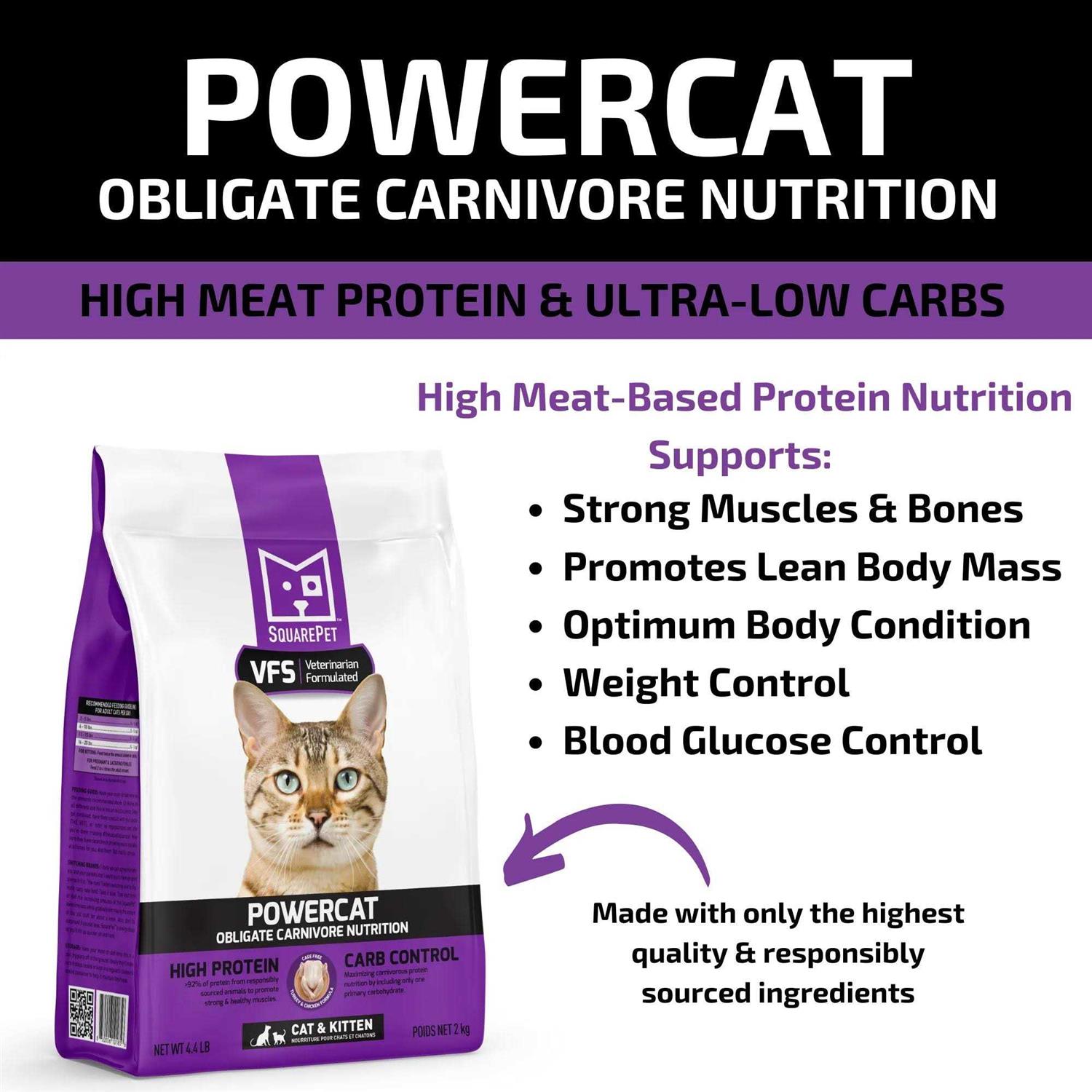 SquarePet VFS Powercat Turkey & Chicken Dry Cat Food - Healthber