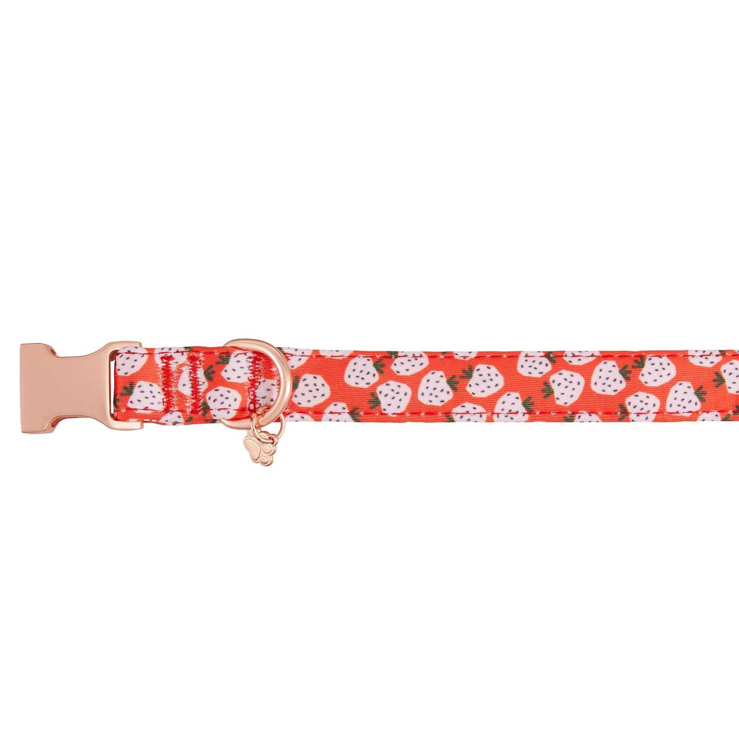 Top Paw Neoprene Adjustable Dog Collar - Healthber