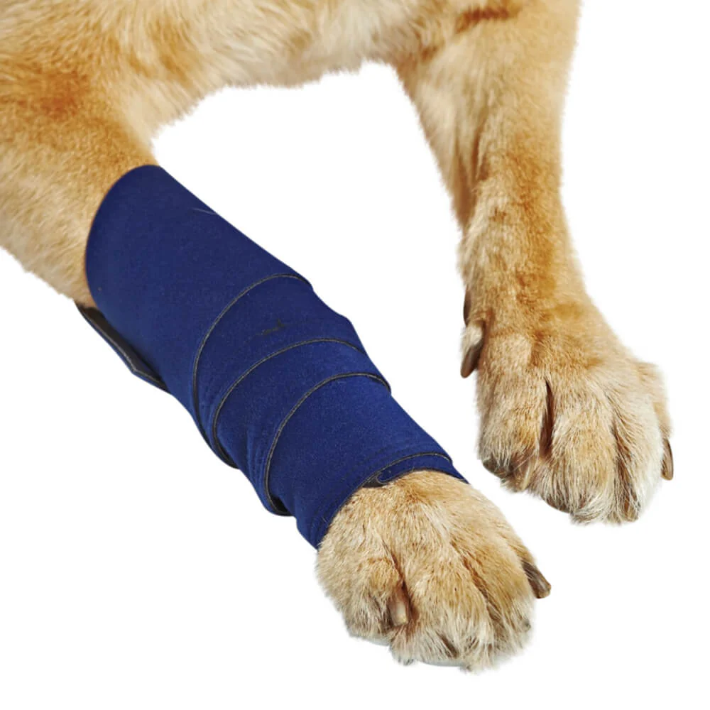 Healers Leg Wrap for Dogs - Healthber