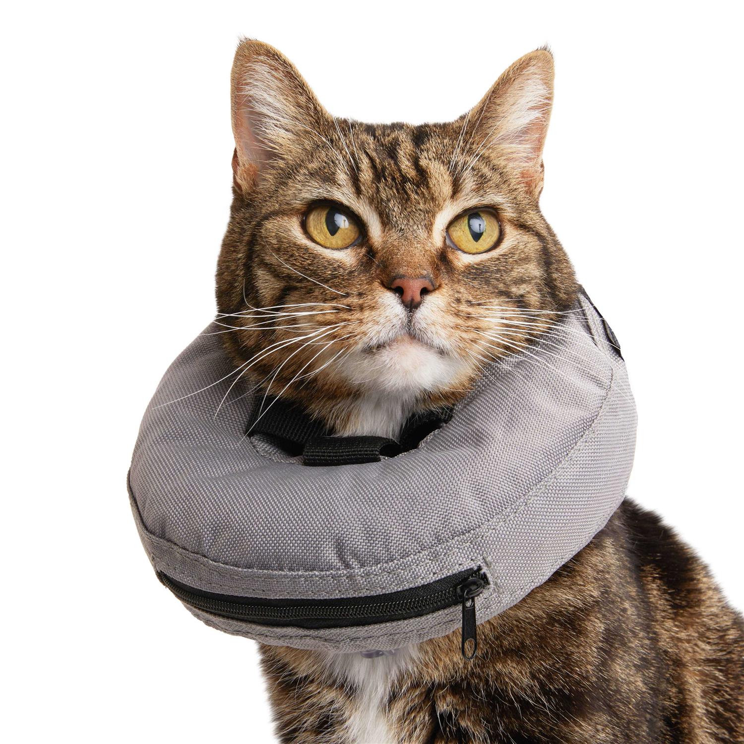 Well & Good Inflatable Recovery Cat Collar - Healthber