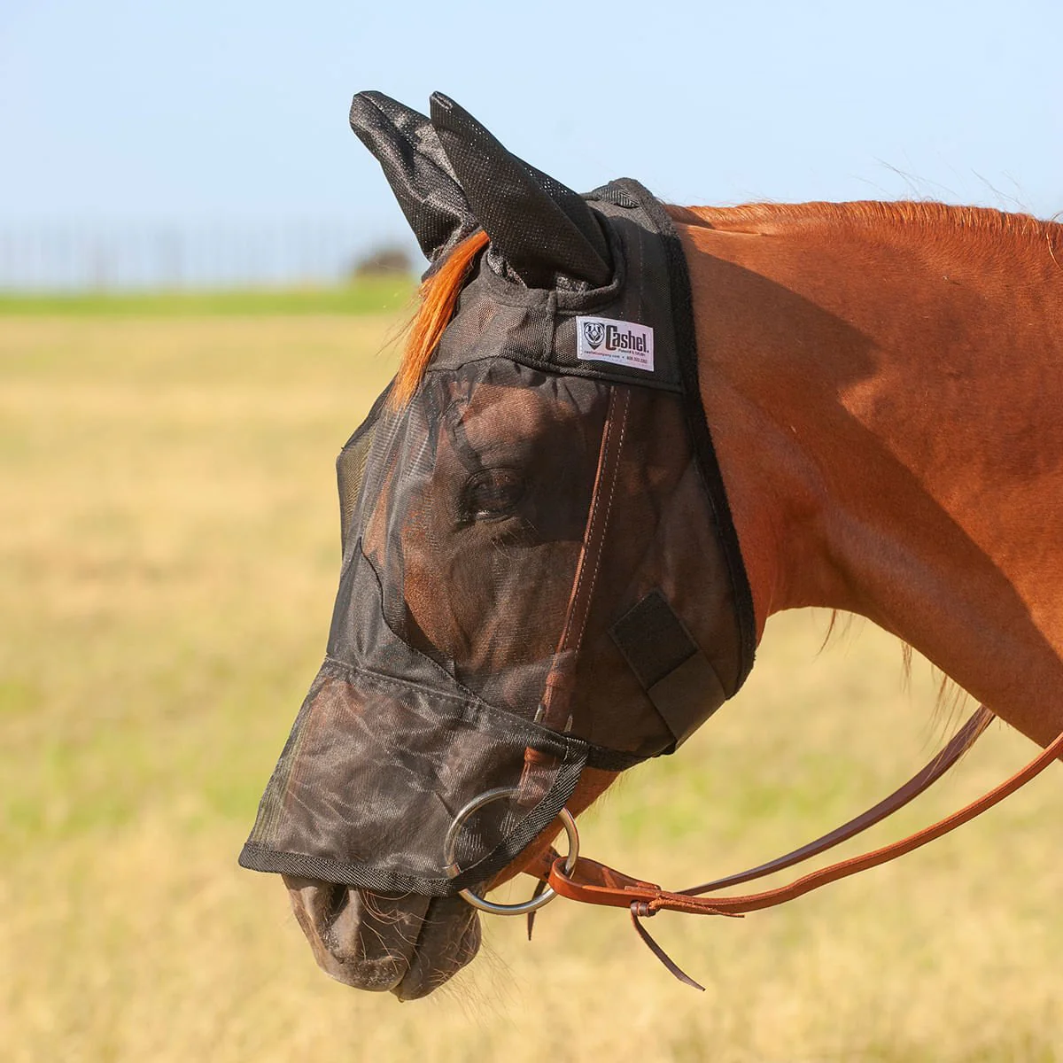Cashel Quiet Ride Horse Fly Mask with Ears & Long Nose, Black - Healthber