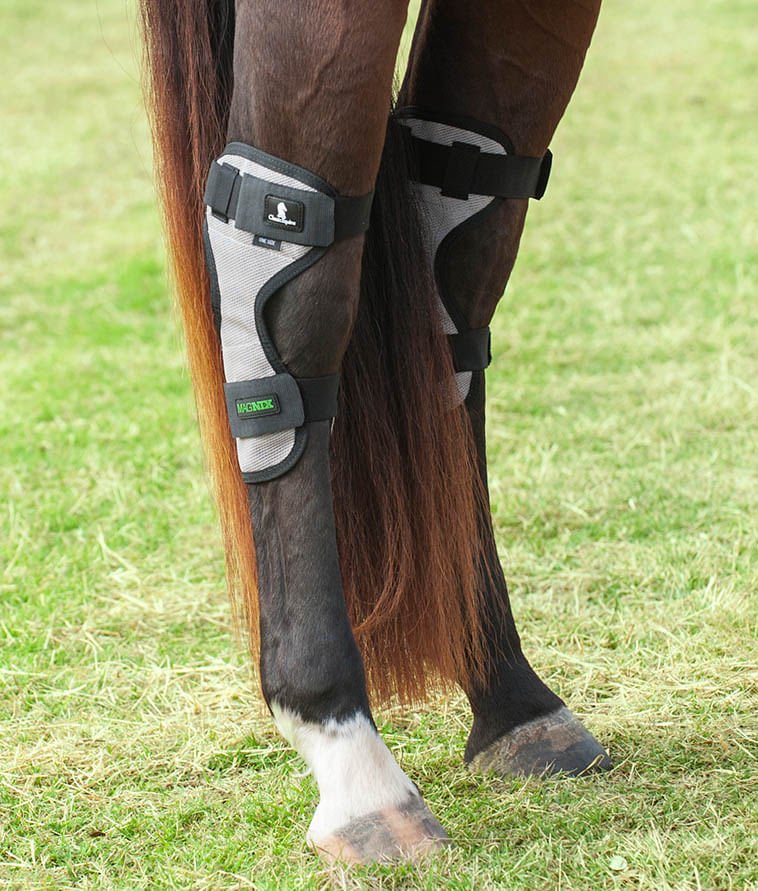 Classic Equine MagNTX Magnetic Therapy Hock Wraps, Pair - Healthber