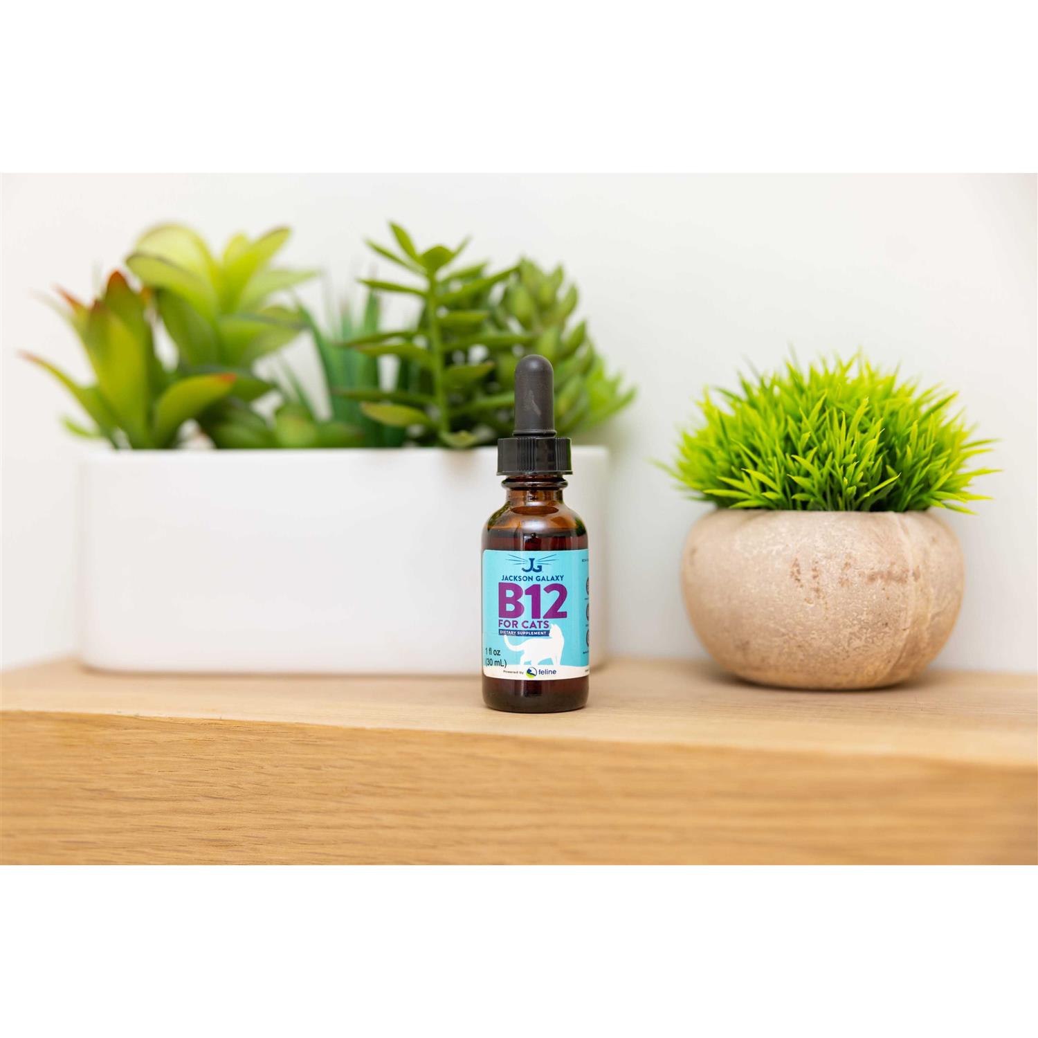 Jackson Galaxy B12 for Cats Dietary Supplement - Healthber