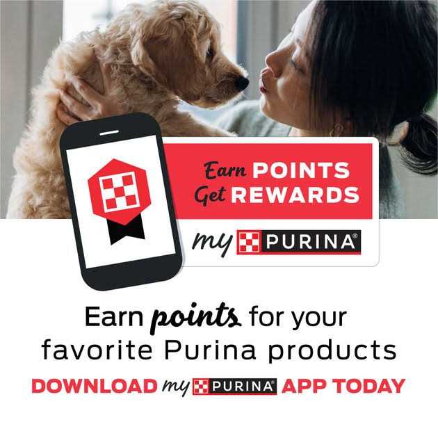 Purina Pro Plan Veterinary Diets NF Kidney Function Early Care Feline Formula Adult Dry Cat Food - Healthber