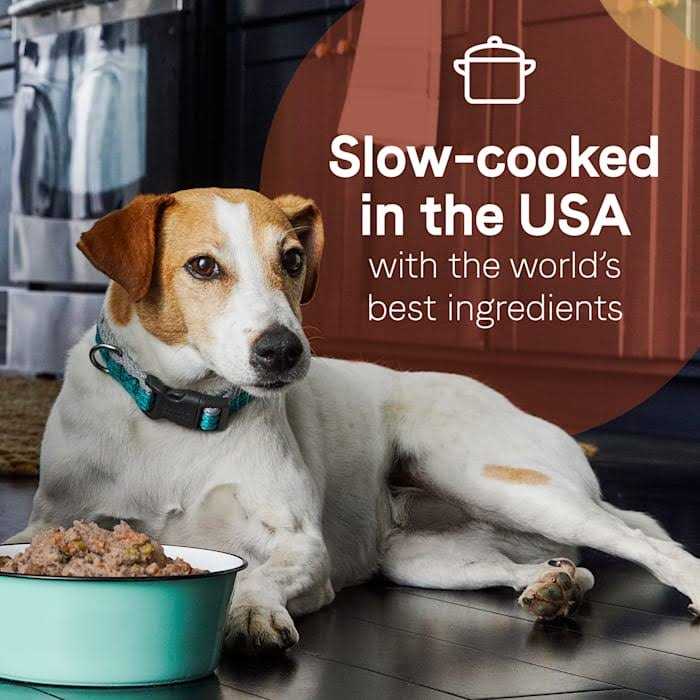 Canidae Pate with Real Salmon & Sweet Potatoes in Broth Pure 2-in-1 Goodness Wet Dog Food - Healthber