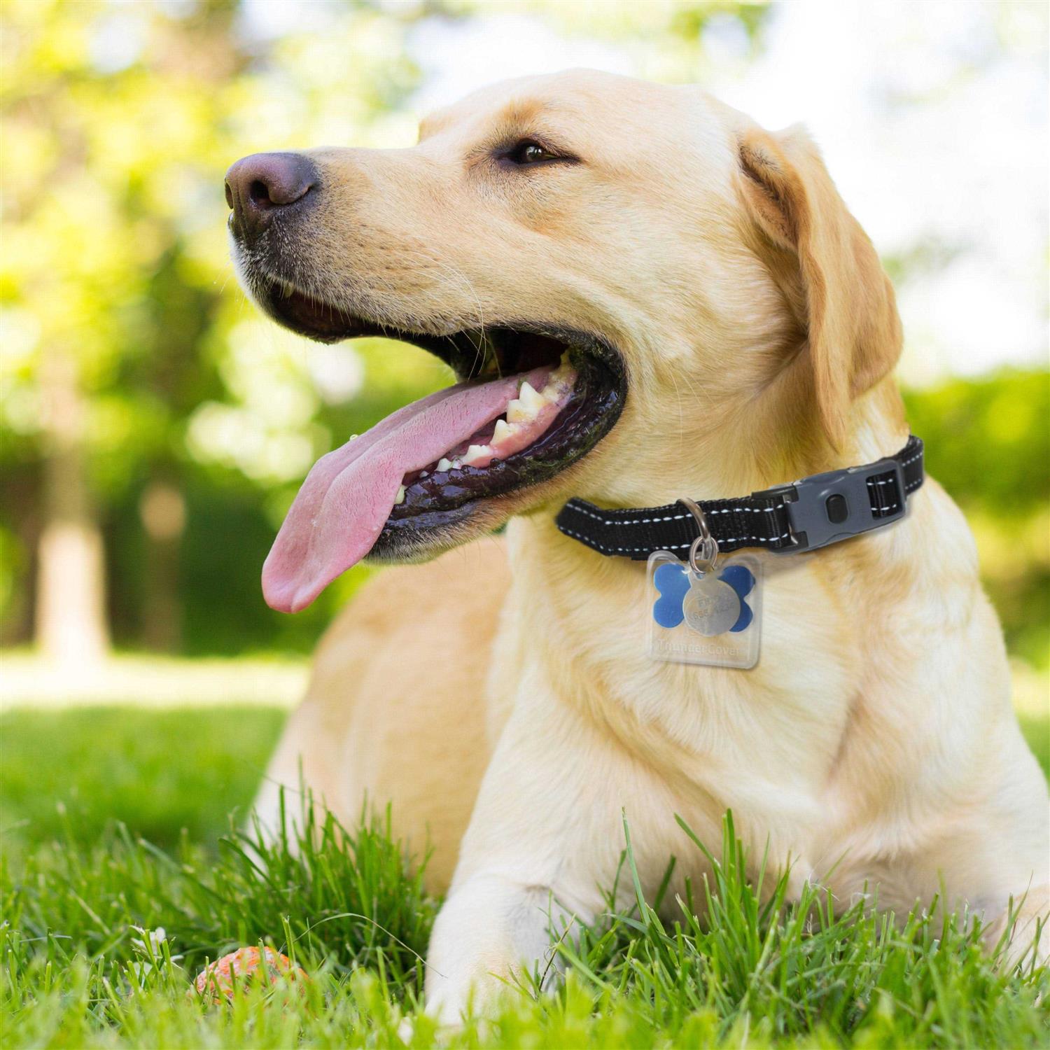 ThunderCover Dog Tag Silencer - Healthber