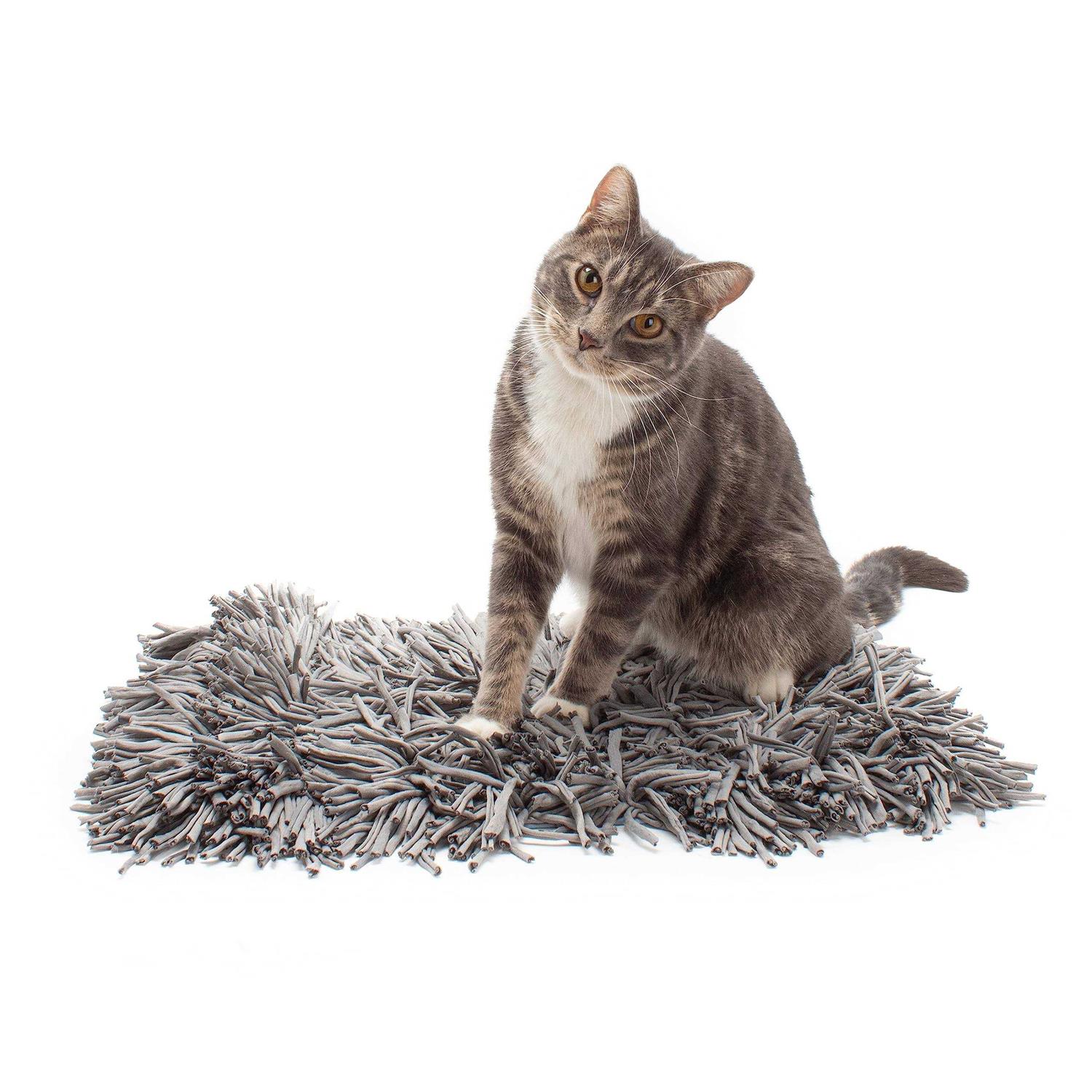 Jackson Galaxy Snuffle Mat for Cats - Healthber