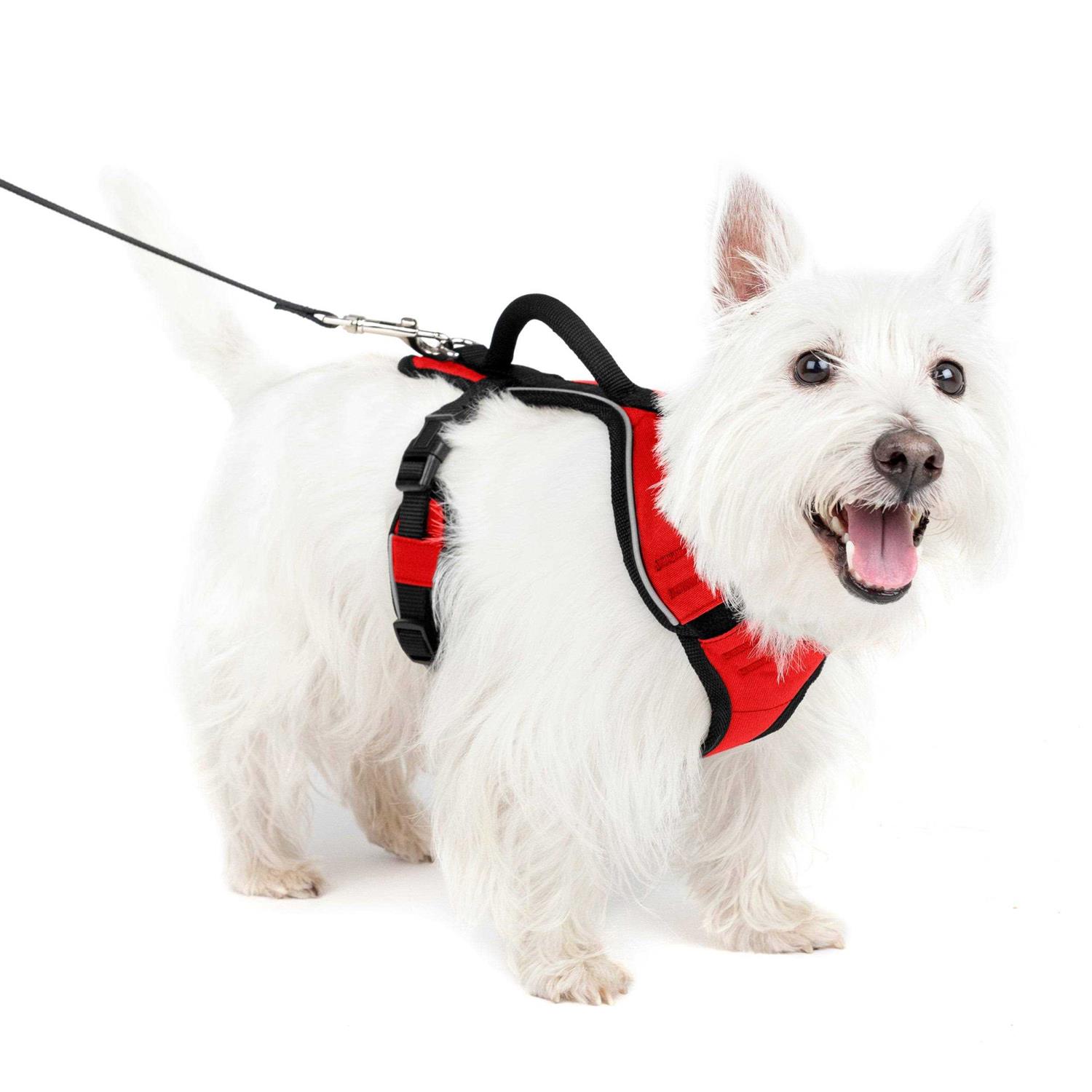 PetSafe EasySport Dog Harness - Healthber