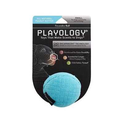 Playology Plush Ball Scented Dog Toy - Healthber