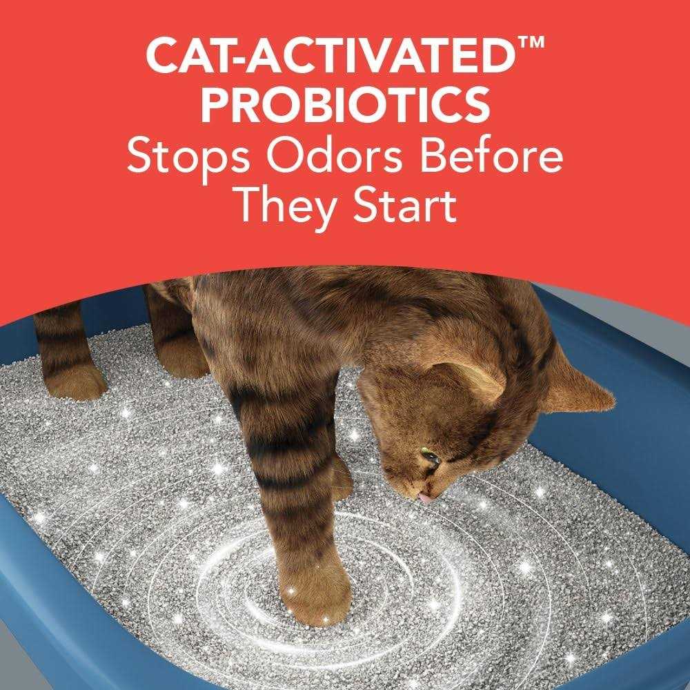 Boxiecat Extra Strength Premium Clumping Clay Cat Litter - Healthber