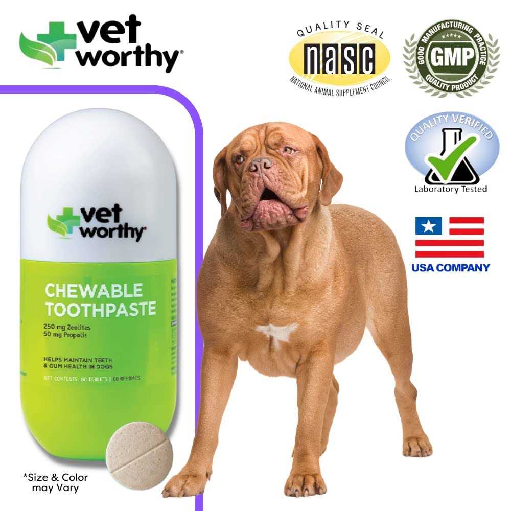 Vet Worthy Chewable Dog Toothpaste - Healthber