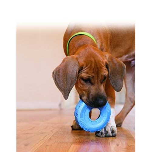 KONG Tires Puppy Toy - Healthber