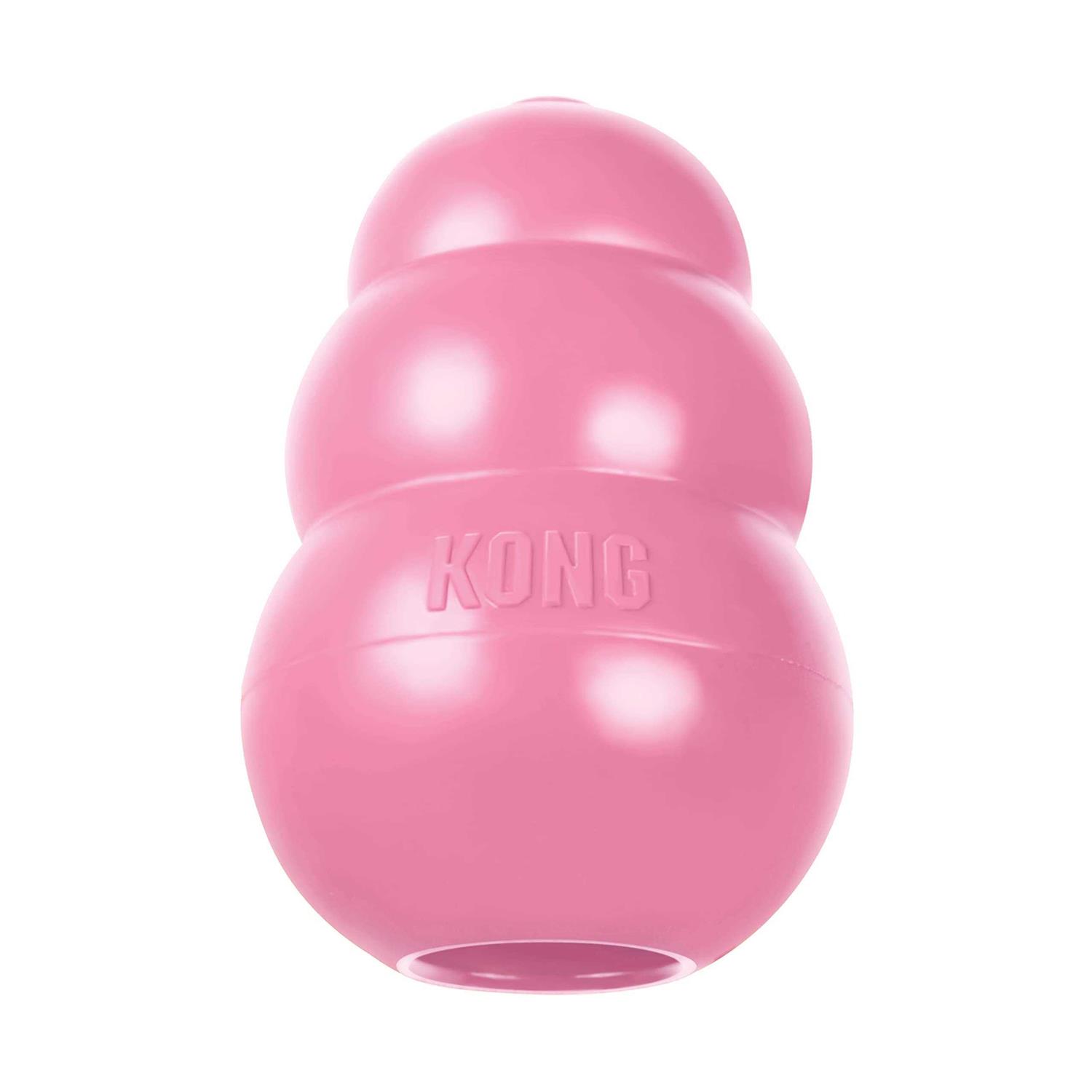 KONG Puppy Toy - Healthber