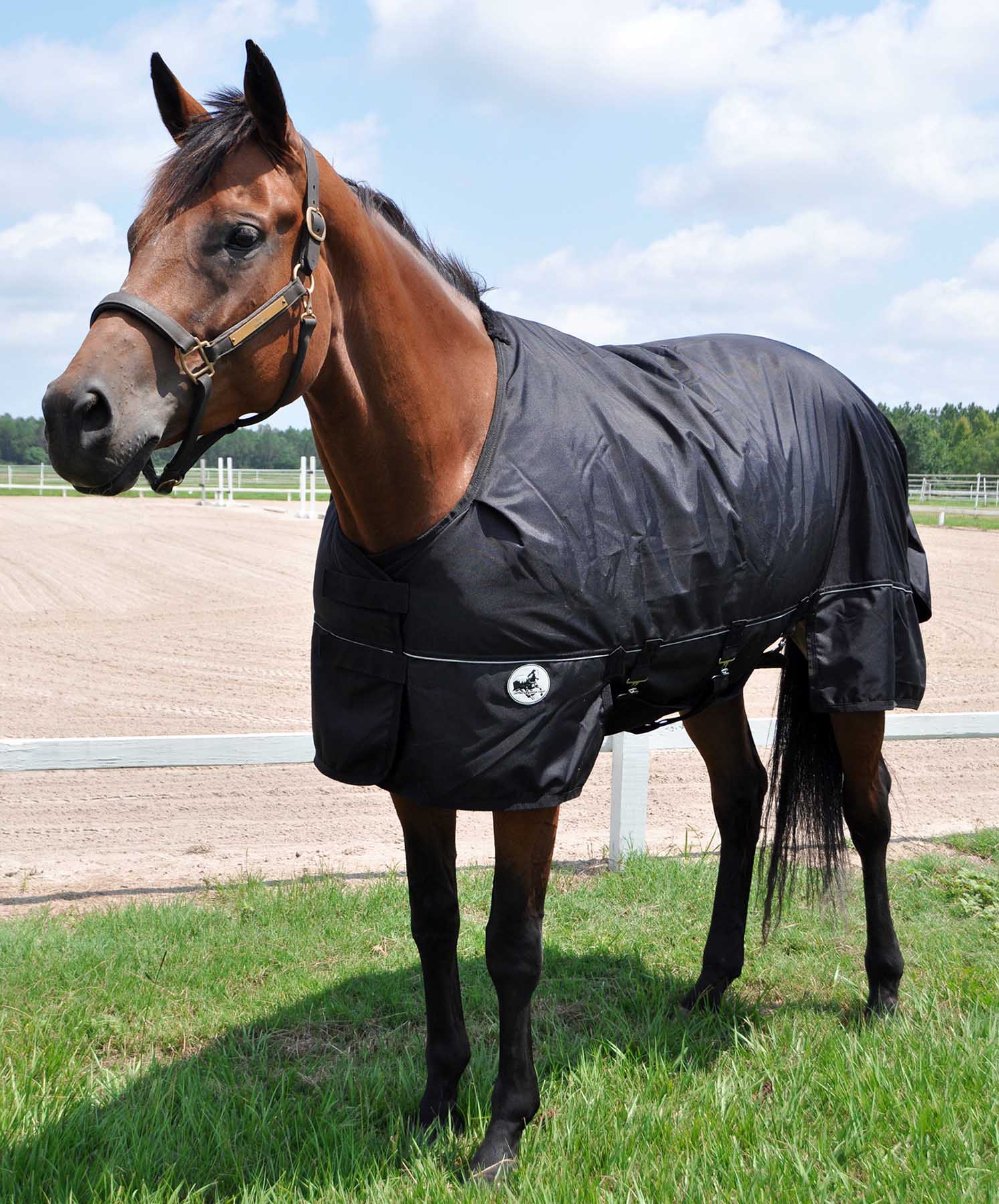 Supreme Plus 1680 Denier Heavy Weight Horse Turnout Blanket, 360 gram fill, Blk/Blk - Healthber