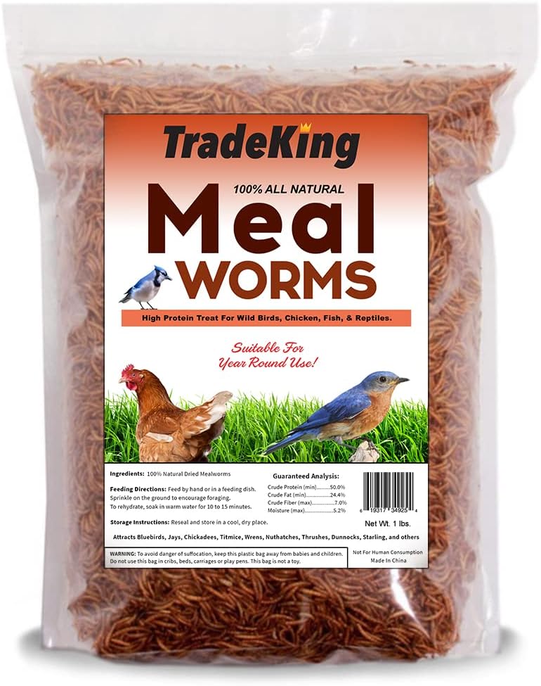 Dried Mealworms - Healthber
