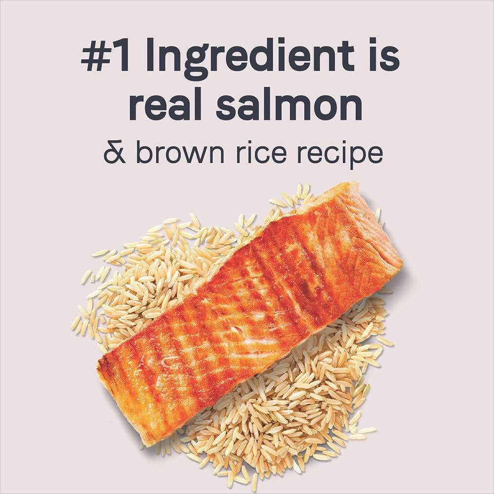 Canidae Goodness Adult Salmon & Brown Rice Dry Dog Food - Healthber