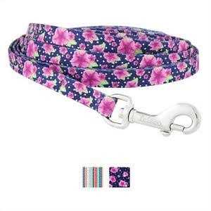 Frisco Dog Dog Leash - Healthber