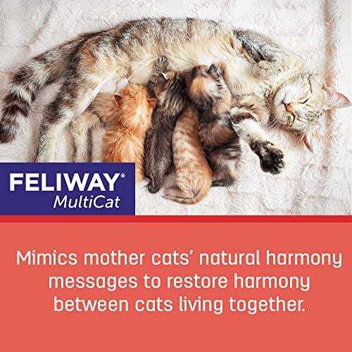 Feliway Multicat 3-Pack Refill - Healthber
