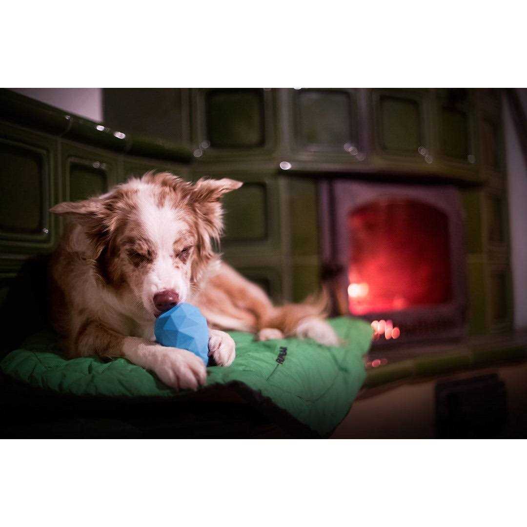 Gnawt-a-Cone Toy Ruffwear - Healthber