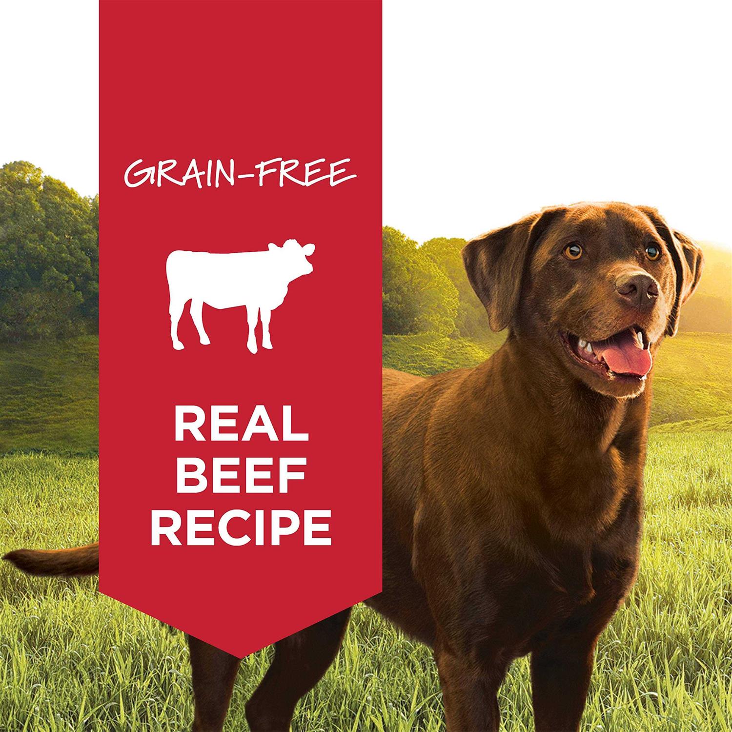 Instinct Grain-Free Beef Formula Canned Dog Food - Healthber