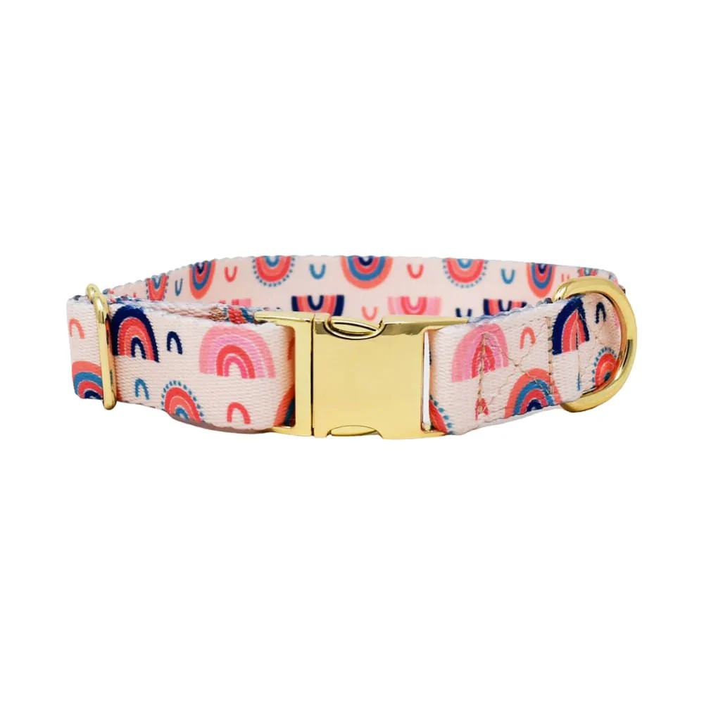 Pink Papyrus Clarke Collar, Rainbow - Healthber