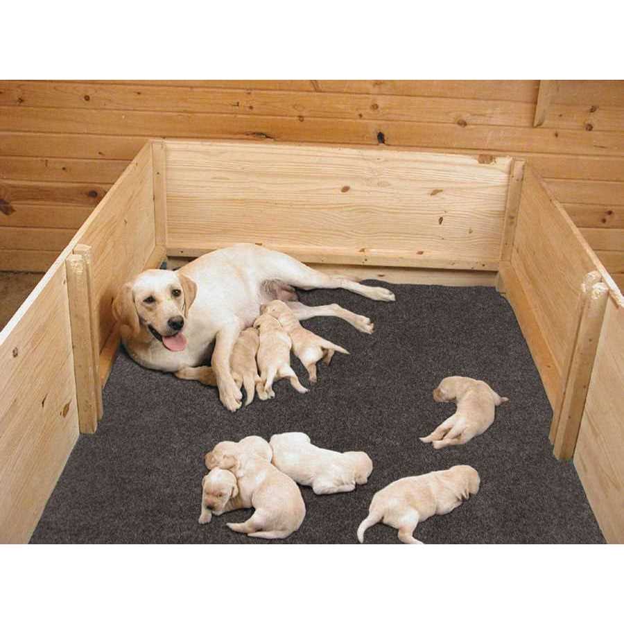 Drymate Whelping Box Liner Mat - Healthber