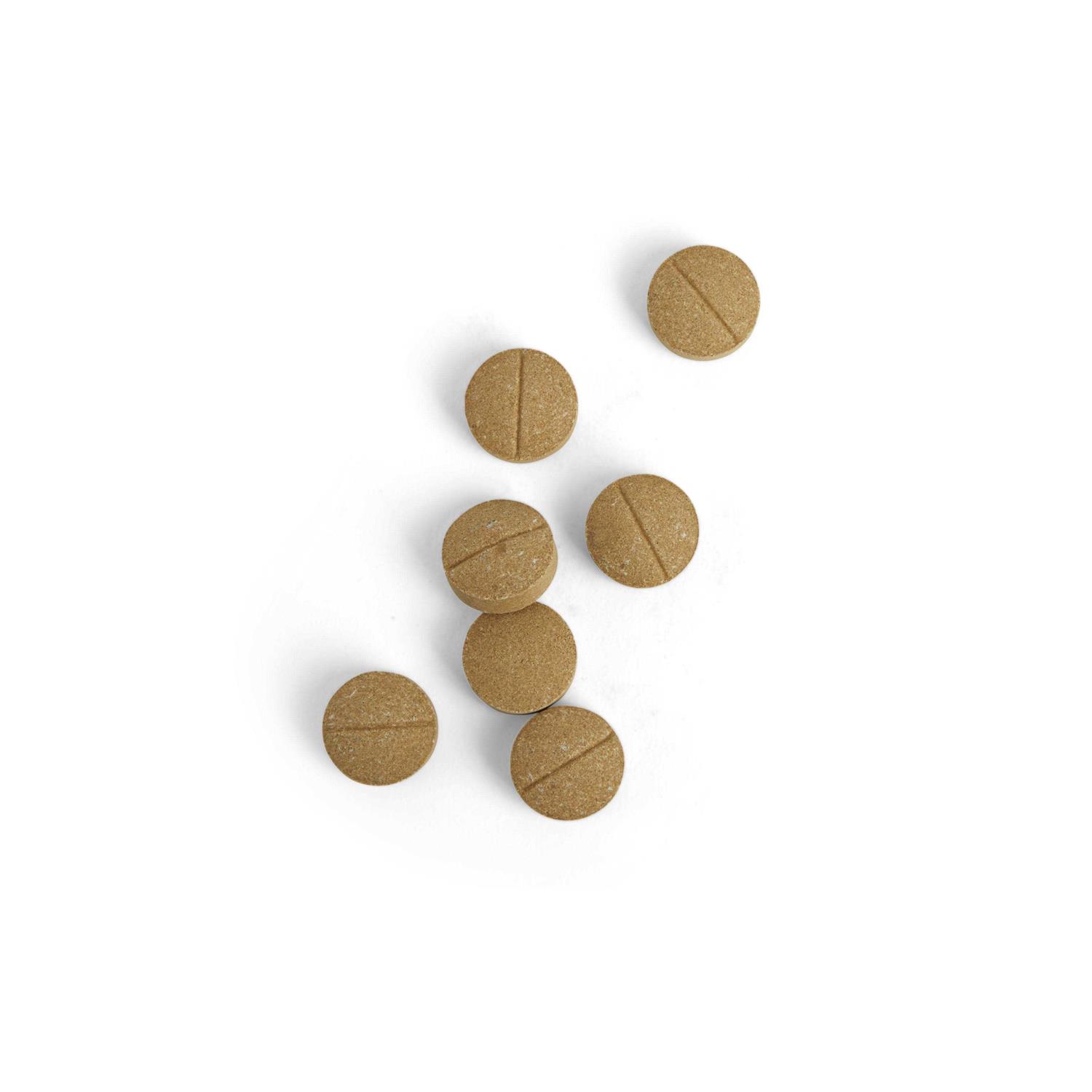 Well & Good Coprophagia Chewable Tablets for Dogs - Healthber