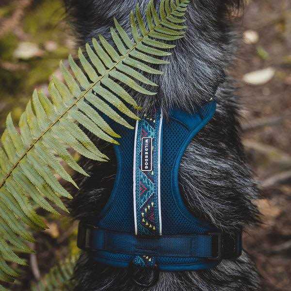 Wilderdog Harness - Healthber