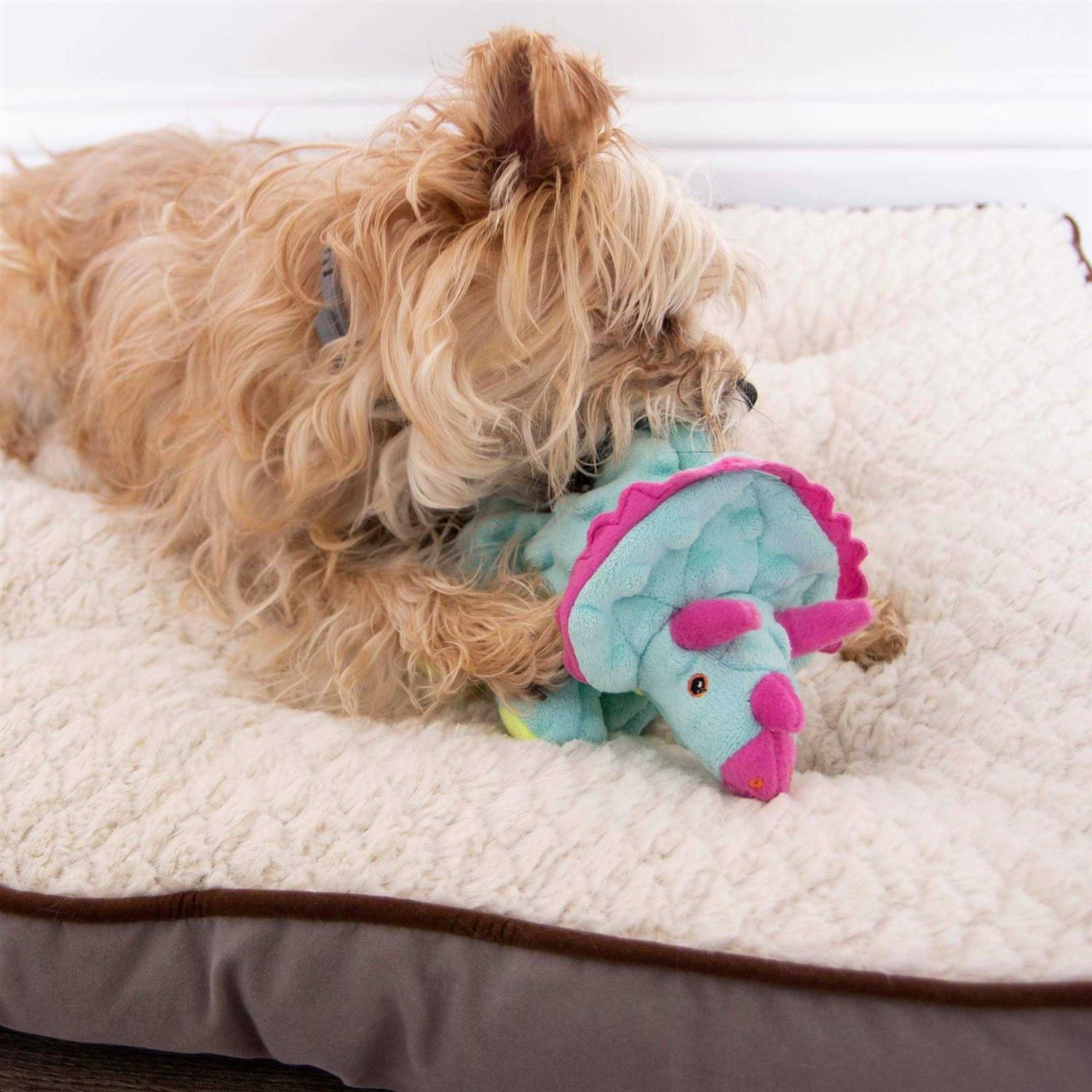 goDog Dinos Frills Dog Toy - Healthber