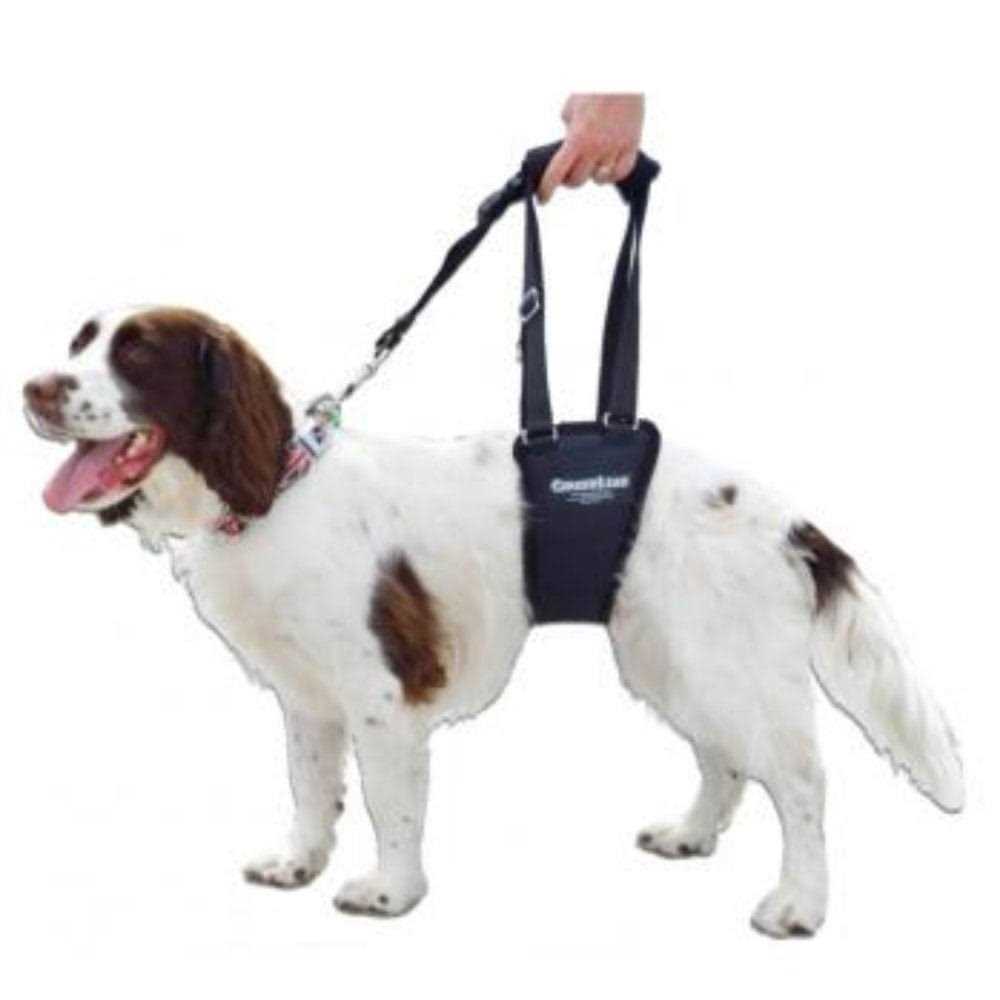 GingerLead Dog Support Rehabilitation Harness - Healthber